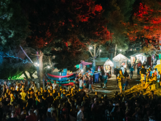 dimensions_festival_airport_transfer_3